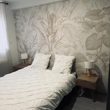 Cosy - Wifi - Netflix Appartement *