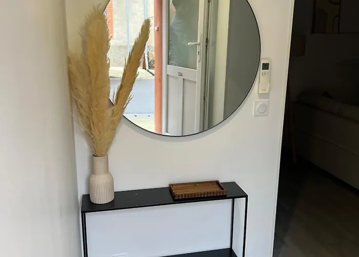 Cosy - Wifi - Netflix * Baziège